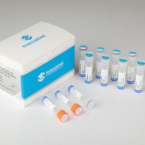 Набор PNAClamp™ для обнаружения мутаций EGFR