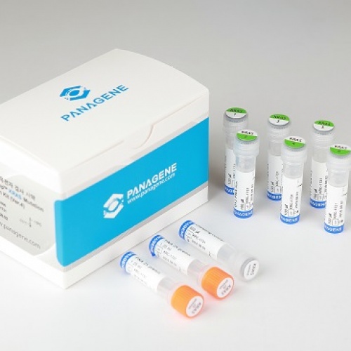 Набор PNAClamp™ для обнаружения мутаций KRAS