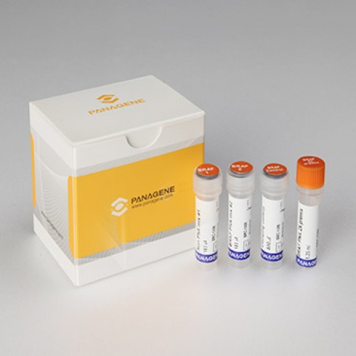 Набор PNAClamp™ для обнаружения мутаций BRAF